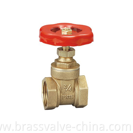 Brass Gate Valve Jpg